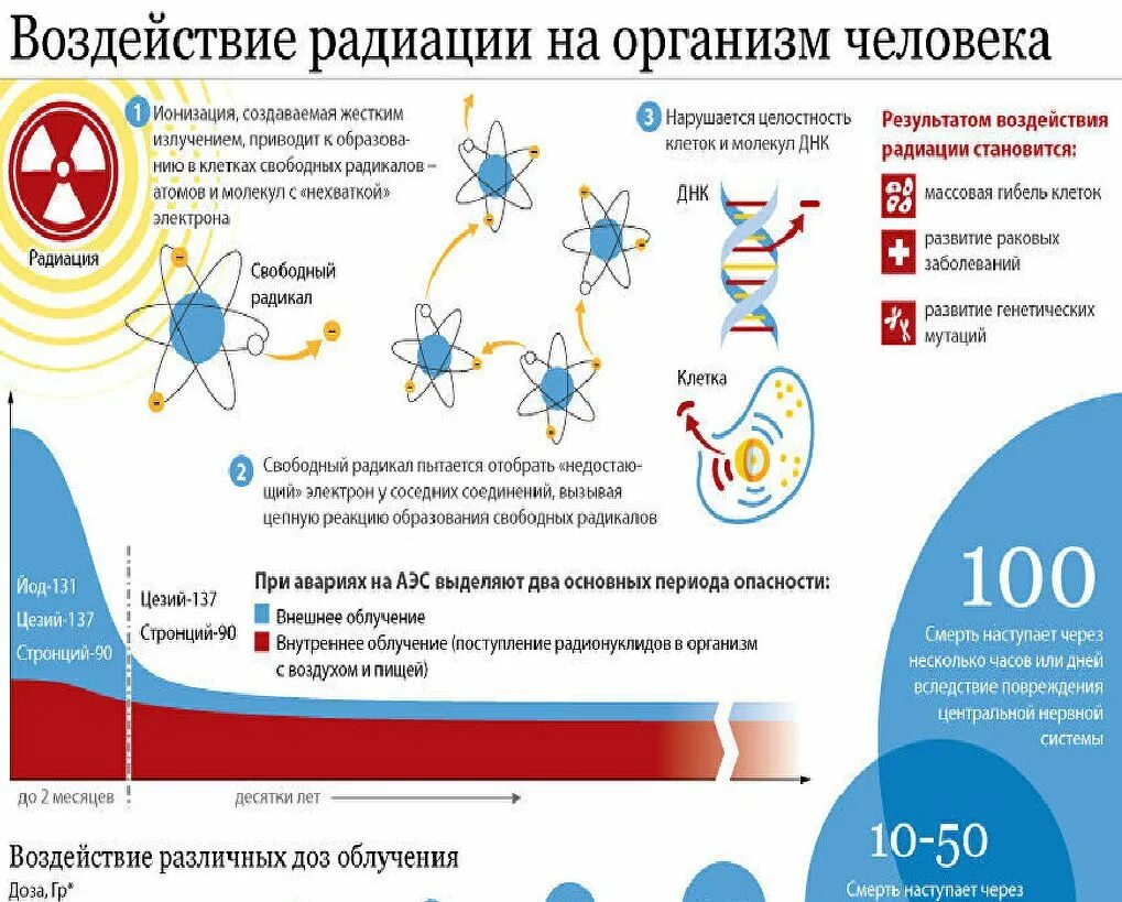 Действие радиационного излучения на организм человека. Влияние радиационного излучения на организм. Последствия действия радиации на организм человека. Механизм воздействия радиации на организм.