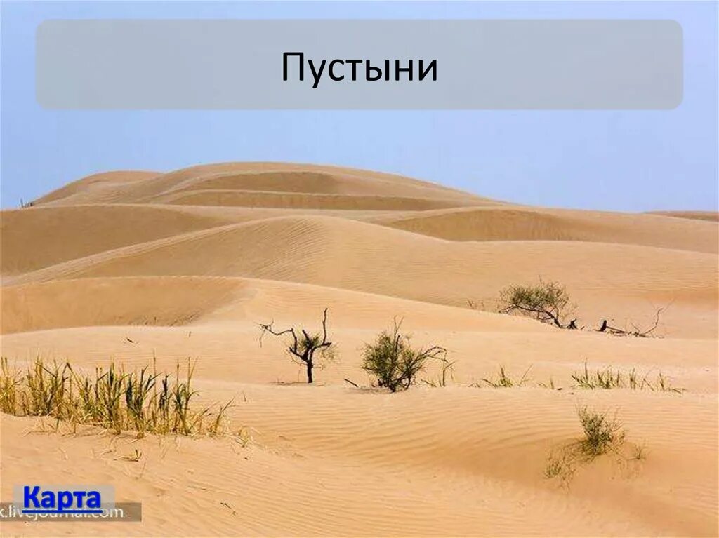 Природная зона пустыня расположена. Природные зоны пустыни и полупустыни. природные зоны россии пустыни и полупустыни. зона пустыня. зона россии пустыня.