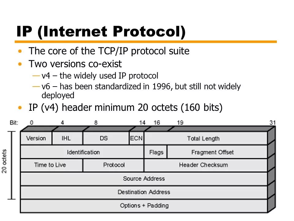 Протокол TCP/IP. Структура стека протоколов TCP/IP. Протокол интернета TCP IP. Протокол TPC/IP.
