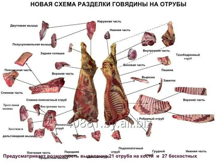 Библиотека технической документации
