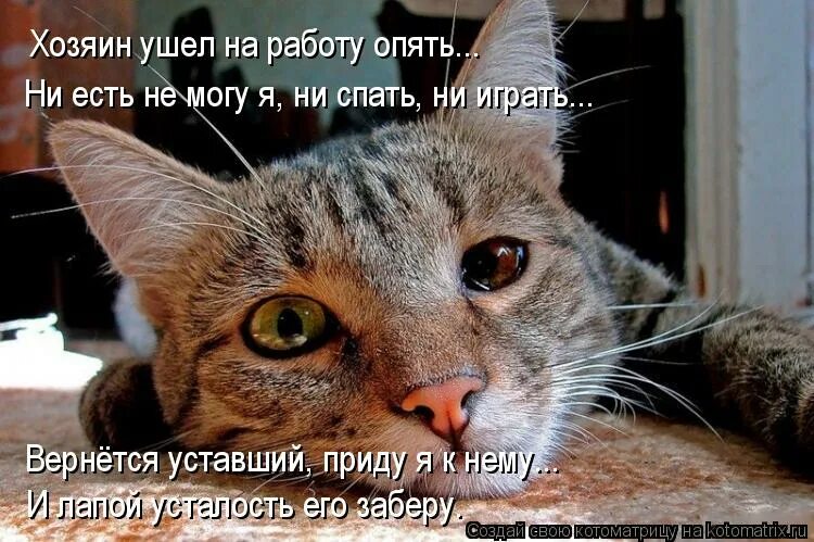 Спать надпись. Алиночка мем. Сон ушел. У тебя там другие коты. Ушел спать.
