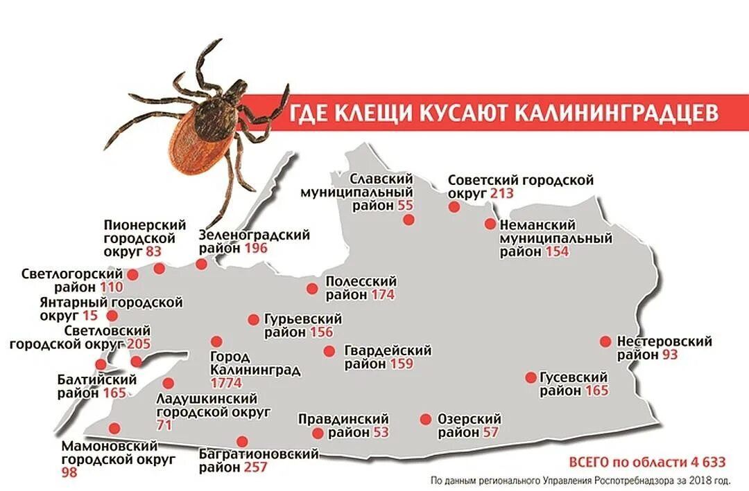 Клещи энцефалитные районы в Подмосковье 2020. Карта энцефалитных клещей России 2020. Энцефалитный клещ распространение. Распространение клещевого энцефалита.