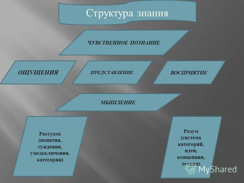 Понятия структура знаний