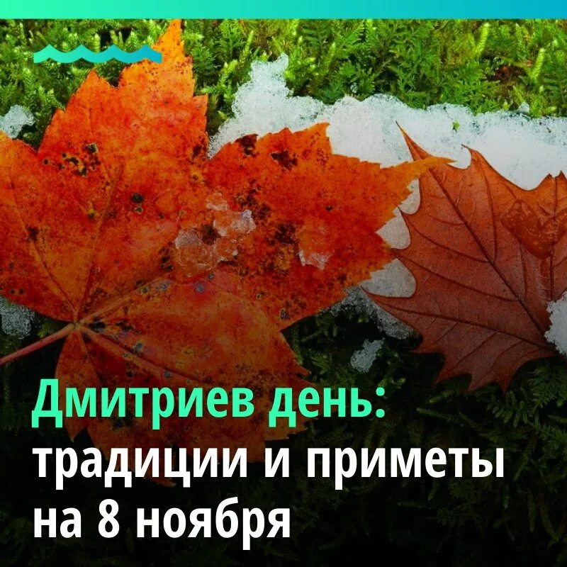 Приметы на 8 ноября. Дмитриев день 8 ноября. Приметы на Дмитриев день. Традиции на Дмитриев день. Дмитриев день народный календарь.