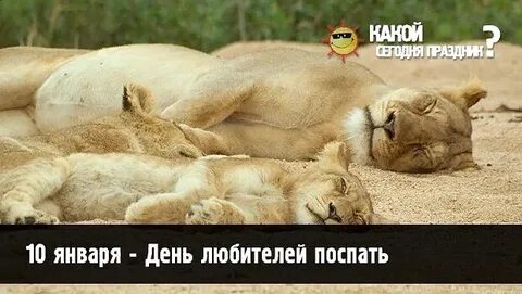 День 7 спящих