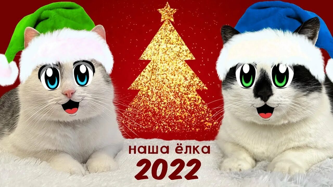 А ну ка давайка 2022. Анука давайка новогодние. Анука давайка новый год 2022. Анука давайка животные.