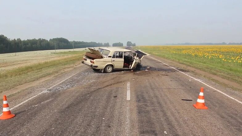 Рп5 тамбовский романовский. Фгуп новоталицкое алтайский край с сентелек. Рп5 тамбовский романовский. Тамбовский алтайский край. Рп5 тамбовский романовский.