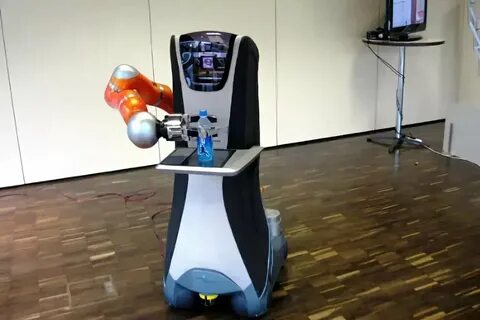 O bot