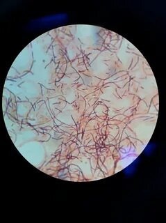 Іш киімдегі жігіттер орысша порно