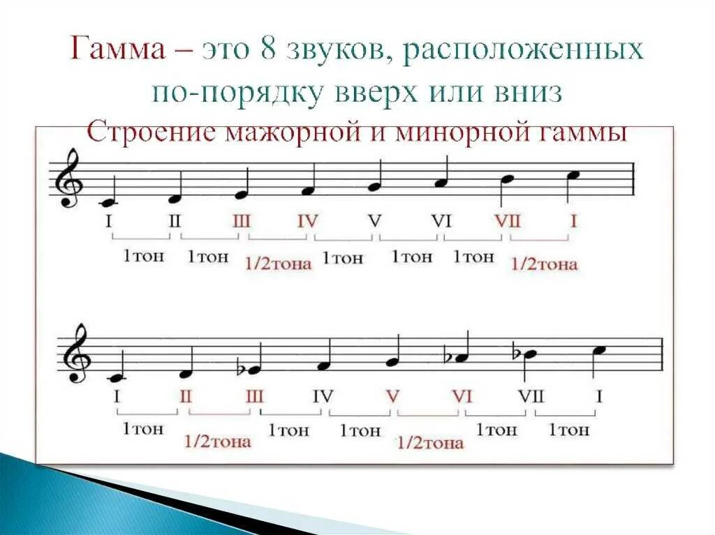 Следующую звук 6. Строение мажорной и минорной гаммы. Гамма Ре минор 2 октавы.