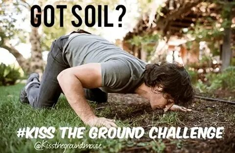Kiss the ground