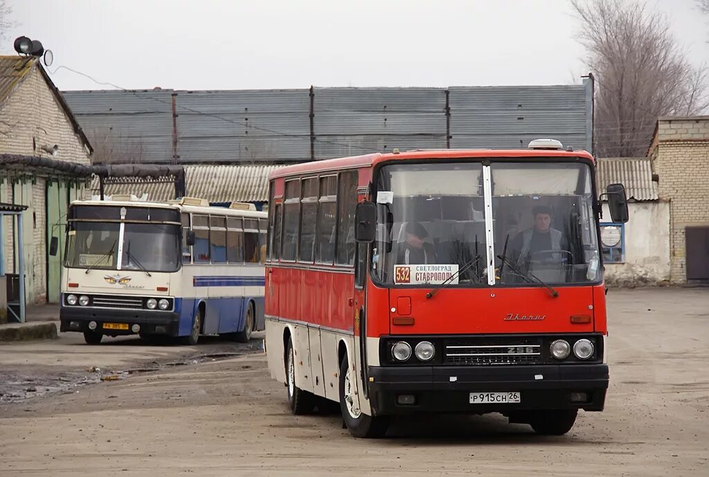 Расписание маршруток светлоград. Икарус автобус Ставрополь. Икарус Ставрополь Курская. Светлоград автобусы. Маршрутки Светлоград.