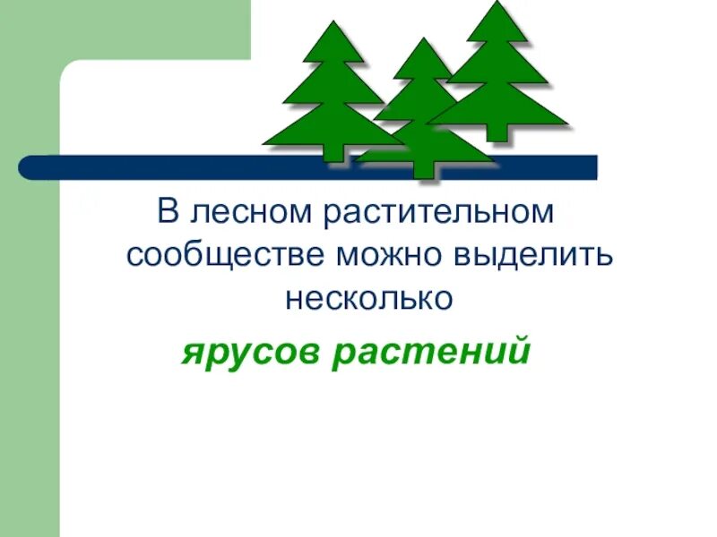 Взаимоотношения в растительном сообществе. Взаимосвязи в растительном сообществе. Растительные сообщества урок. Растительные сообщества примеры. Взаимосвязь в растительном сообществе 7 класс.