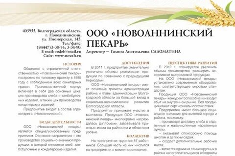 Погода саломатин новоаннинский волгоградской