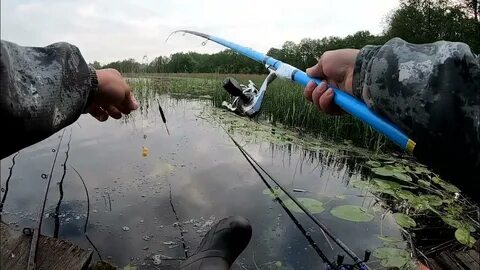 Видео ловля удочкой летом