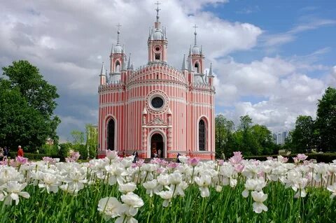 Спб розов