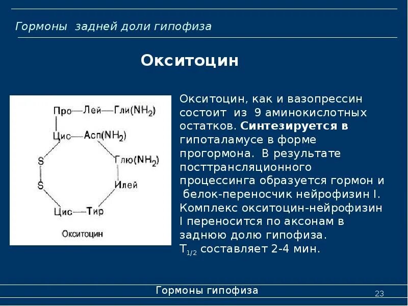Гормоны содержат