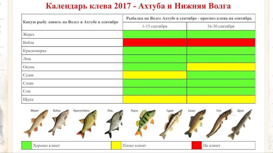 Клев рыбинск. Таблица рыболова. Рыбный календарь. Таблица клева рыбы. Календарь рыбной ловли.