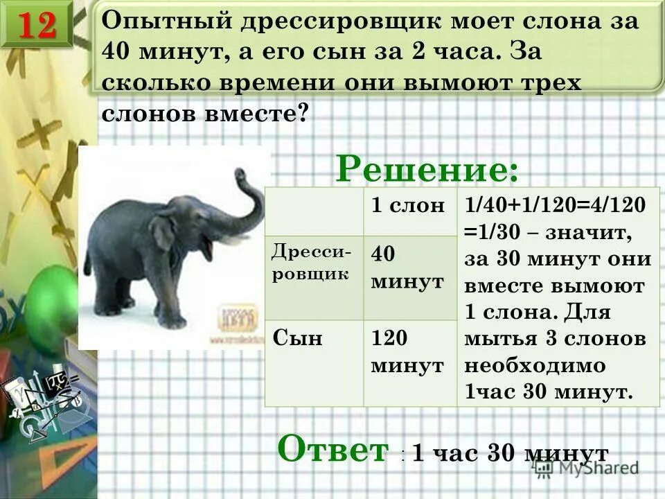 Что значит 30 минут. Задачи про животных. Задачи про слонов. Задачи про животных 3 класс. Задачи про слонов для 1 класса.