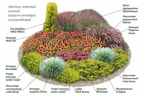 Как красиво посадить однолетние цветы на даче схемы