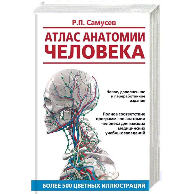 Атлас анатомии и физиологии человека Самусев. Большой атлас анатомии человека Винс Перез. Липченко атлас анатомии человека 2002.