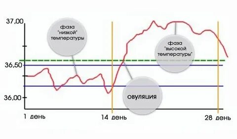 После стенда температура