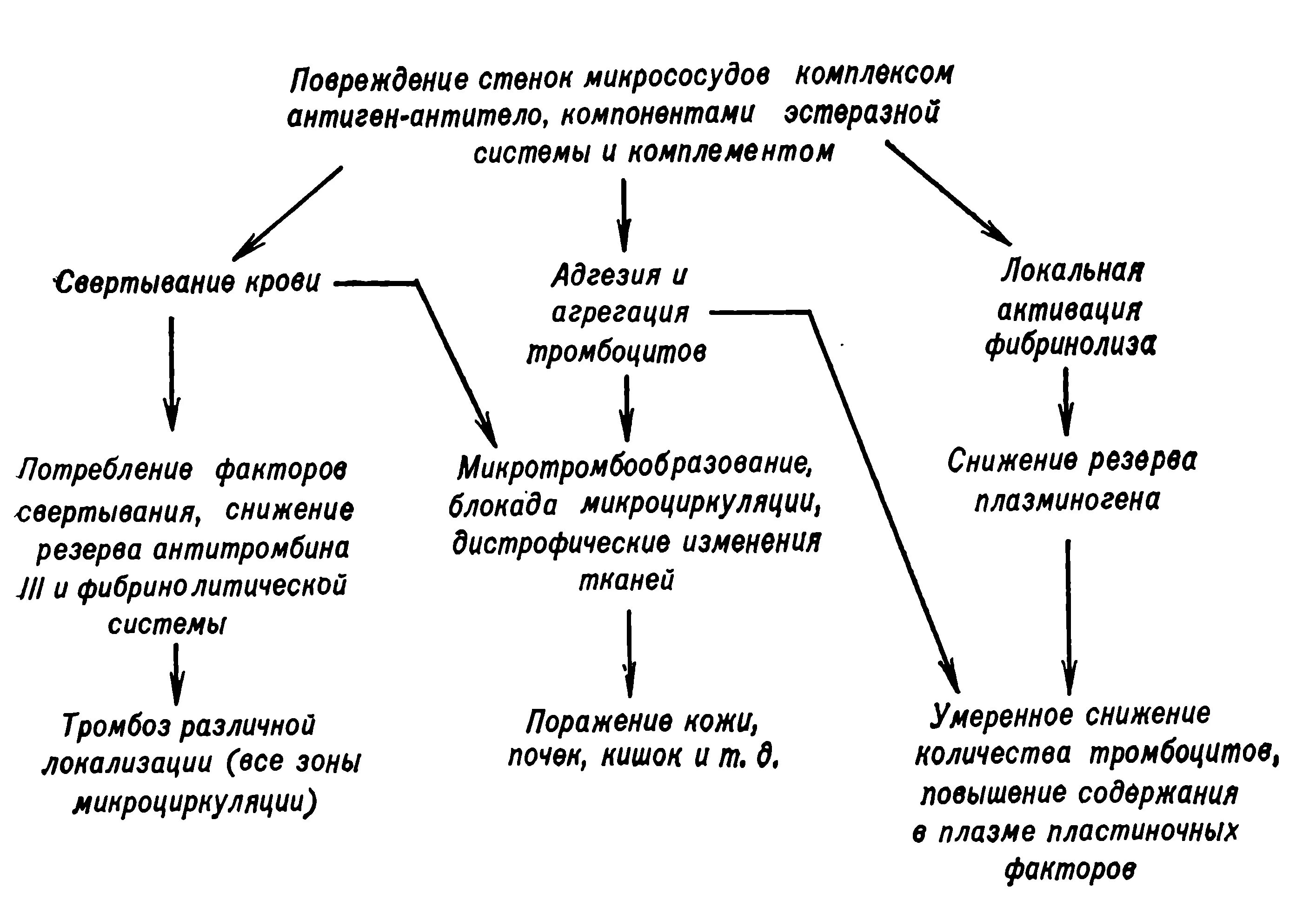 Васкулит патогенез. Патогенез болезни Шенлейн-Геноха. Геморрагический васкулит патогенез схема. Болезнь Шенлейна Геноха этиология. Патогенетические механизмы развития геморрагического васкулита.