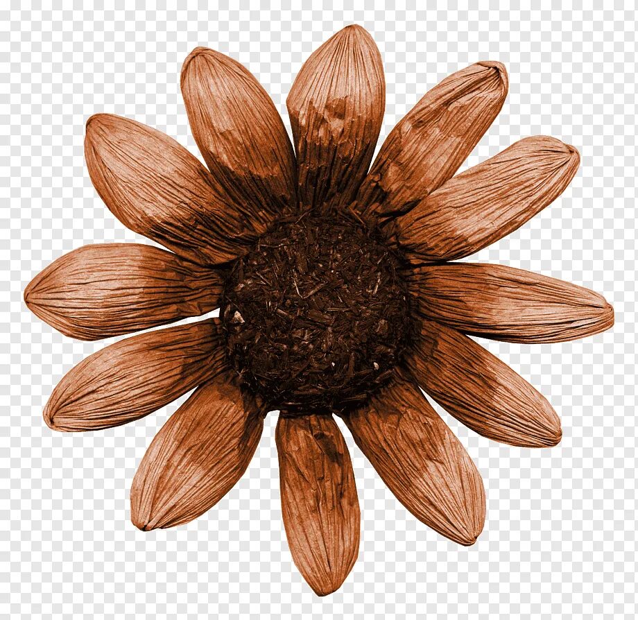 Brown flowers