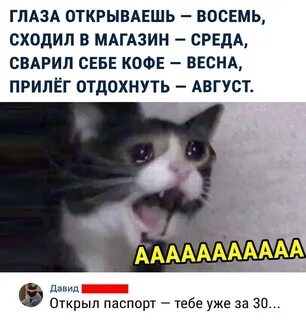 Прилег отдохнуть