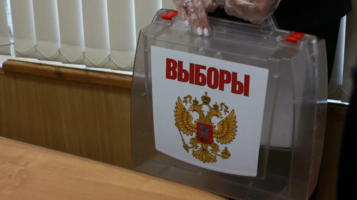 Выборы пройдут 3 дня. Выборы. выборы избирательная кампания. выборы 11 сентября. фото выборы депутатов собрания депутатов муниципального округа.