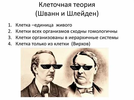 Шлейден и шванн клеточная