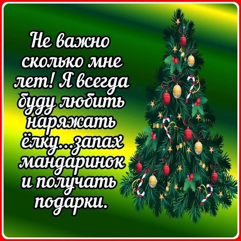Цитаты про новогоднюю елку. Высказывания про елку. не важно сколько мне ле. цитаты про елку и новый год. наряжать ёлку афоризмы.