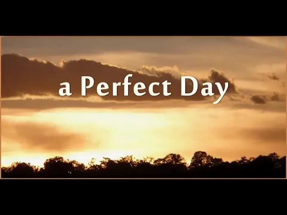 Perfect картинка. My perfect Day. My perfect Day 6 класс. «A perfect Day» в 1999.