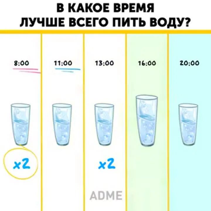 График питья воды для похудения. Пей воду по часам. График питья воды для худеющих. Пить воду по часам для похудения.