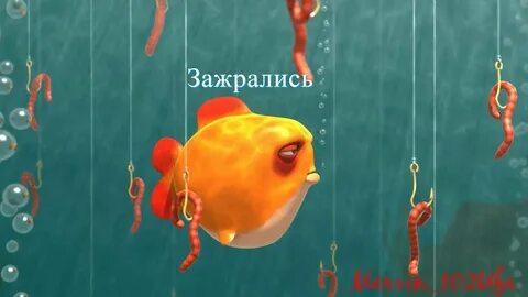 Покажи 1 рыбу