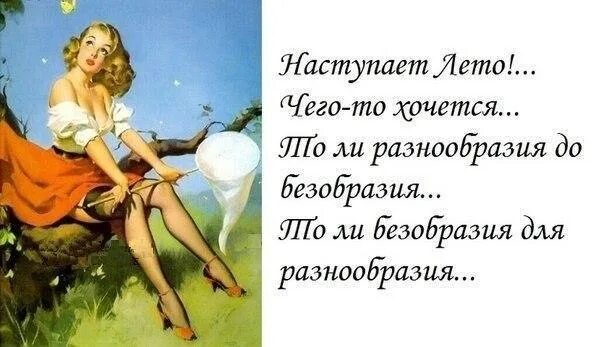 Толи не хочешь