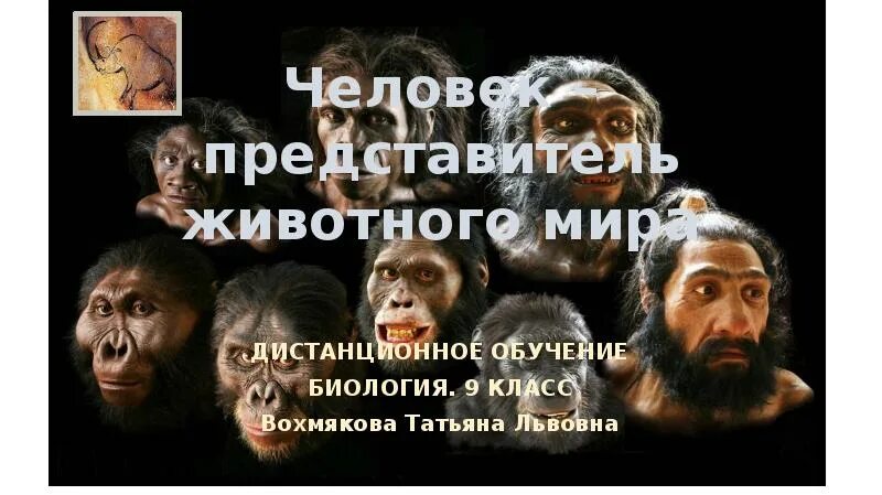 Почему человек в мире животных. Почему человек в мире животных