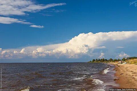 Озеро чудское море