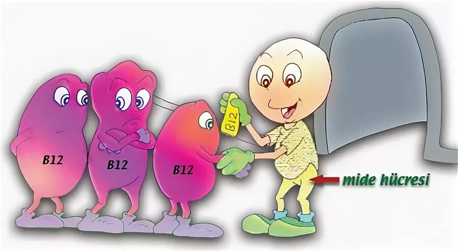 20 03 12