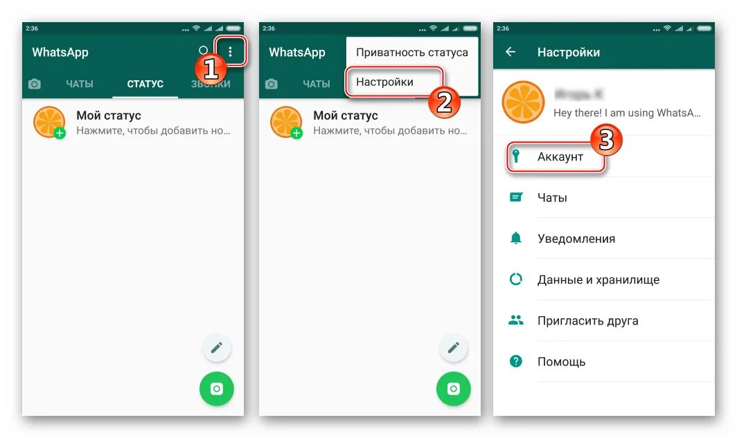 Как настроить ватсап сообщения. Отчёт о прочтении в ватсапе что это. приватность ватсап. отчёты о прочтении в whatsapp. конфиденциальность в ватсапе.