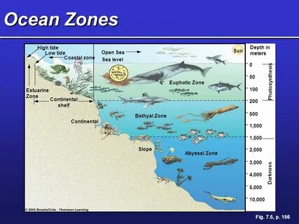 Sea zone