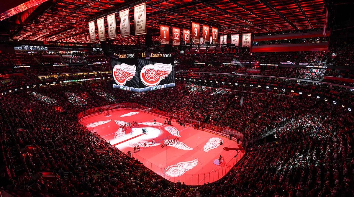 Red arena сочи зал. Хоккейная арена детройта. Red arena сочи. Ред арена сочи. Ред арена концертный зал.