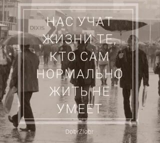 Жизнь учит 4