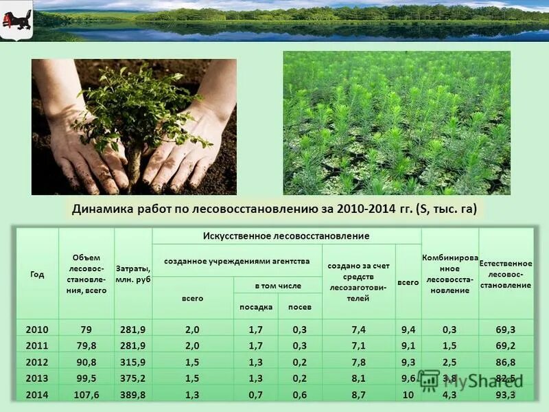 Правила лесовосстановления 1024