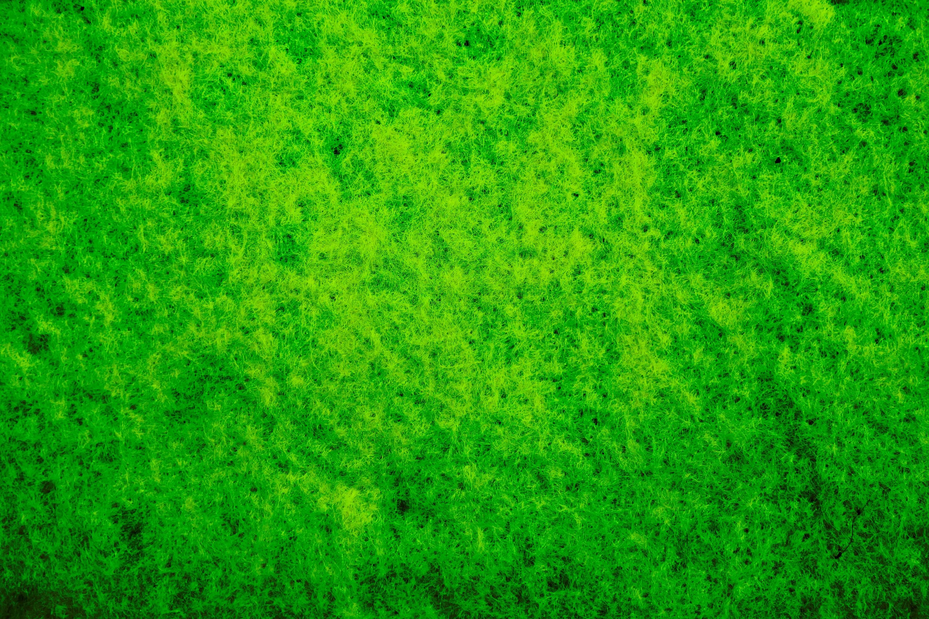 Texture based