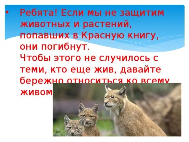 Проект животные красной книги чувашии Животные красной книги чувашии презентация