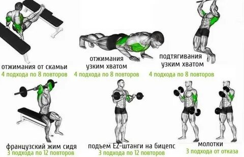 Тренировка для рук в тренажерном зале