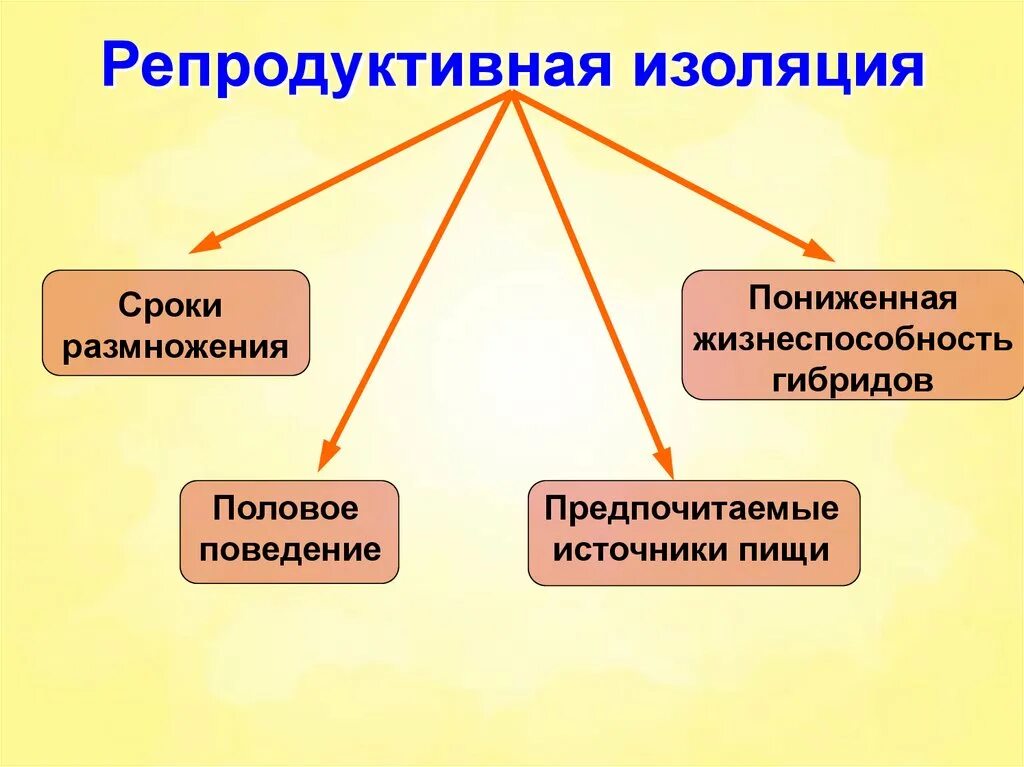 Результат ослабления репродуктивной изоляции между видами. Механизмы репродуктивной изоляции видов. Репродуктивная изоляция. Репроодуктивная тзоояуия.. Репродуктивная изоляция примеры.