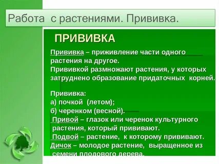 Назовите агротехнический прием