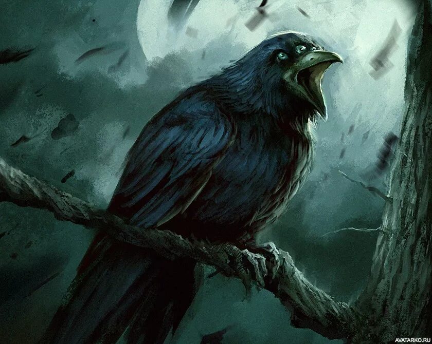 Ворон уинн. Фамильяр ворон. Повелитель ворон кромахи. Ворон арты. Хугин и мунин арт фэнтези.